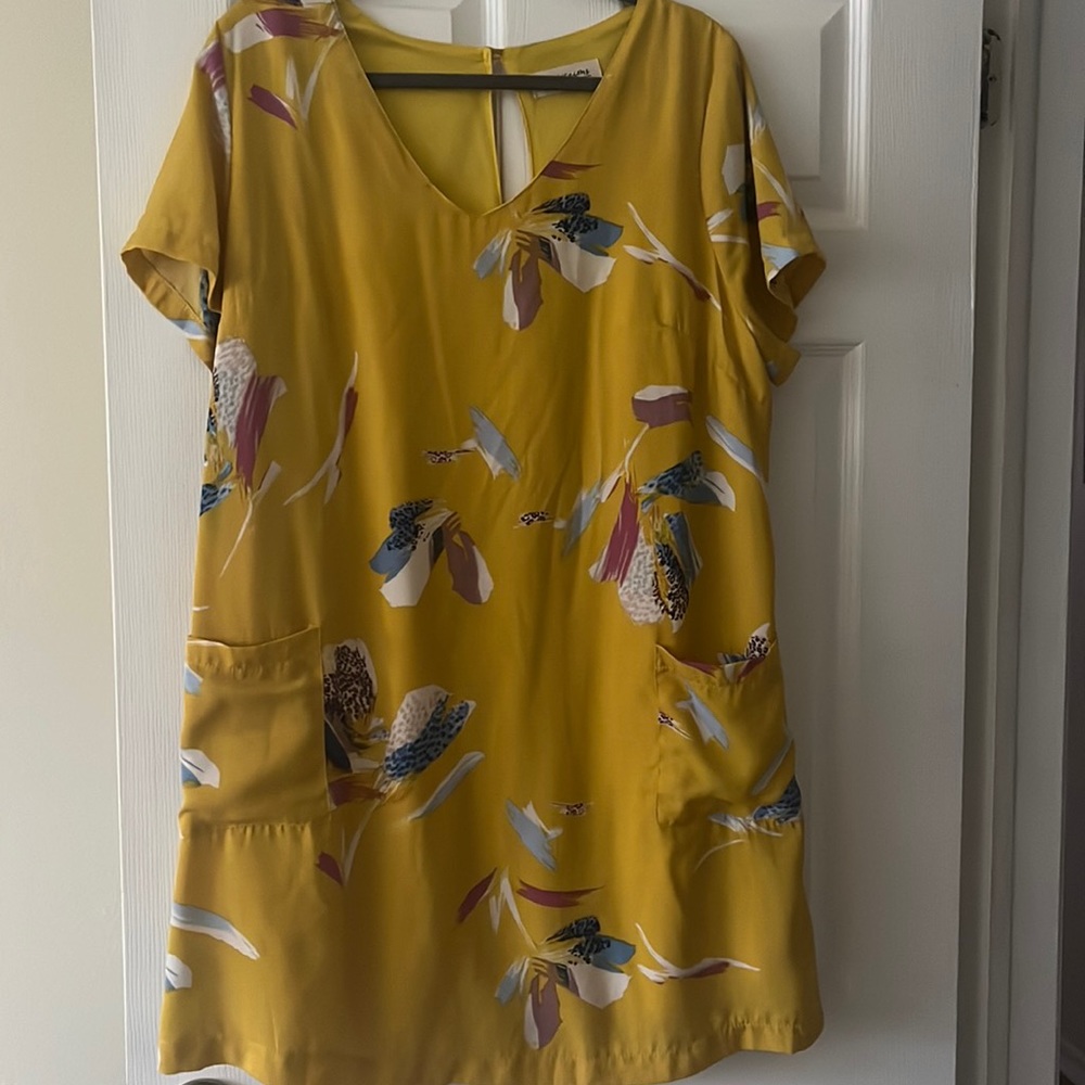Cute Pocket dresss! excellent condition